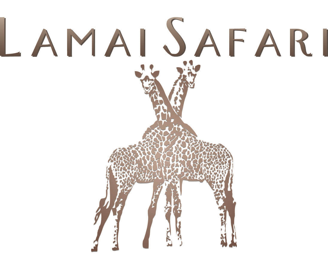 Lamai Safari